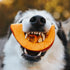 Top 3 der unterschätzten Hundefutter