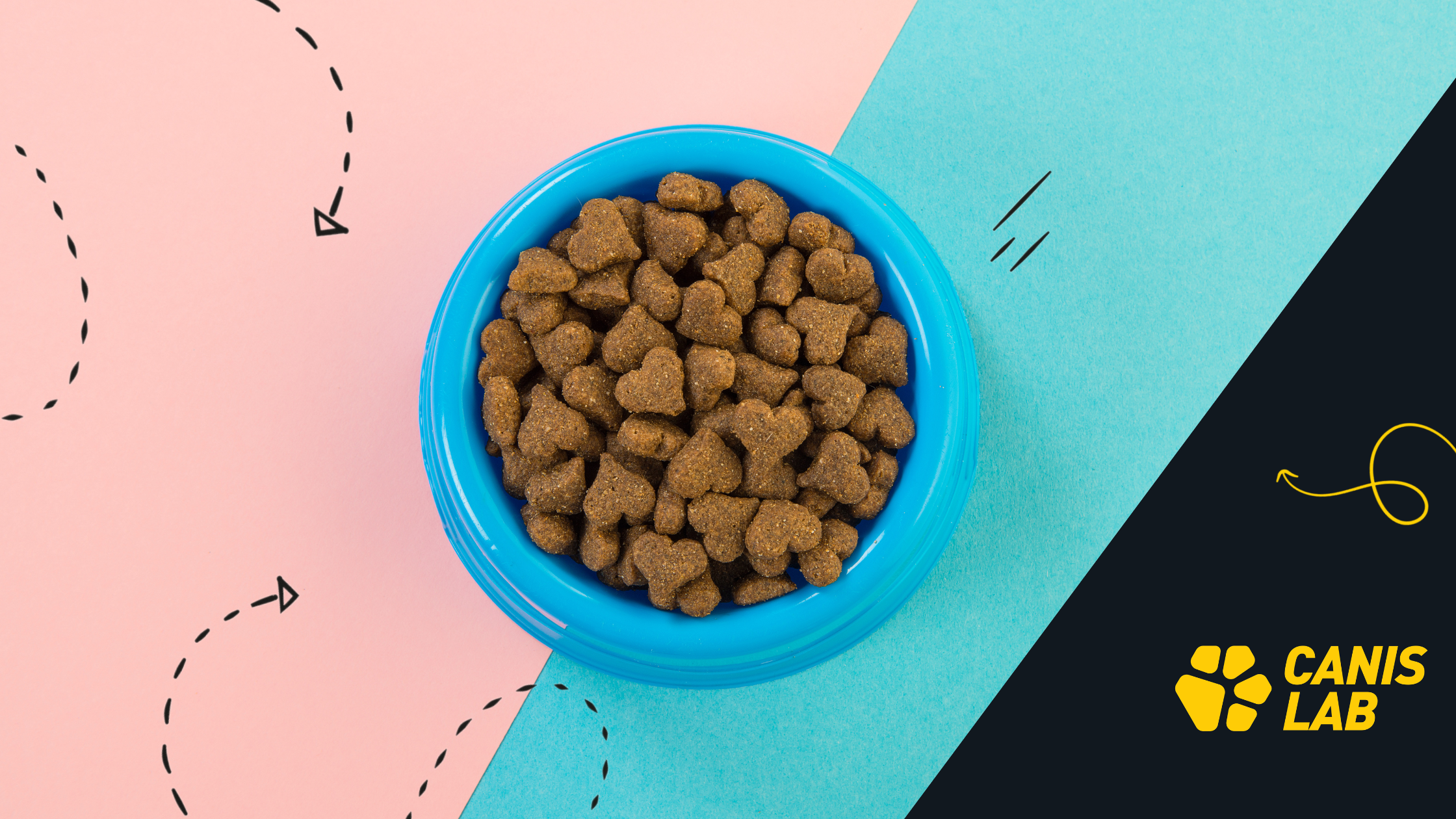 Granulat allein reicht nicht aus: So sorgen Sie für maximale Hundegesundheit