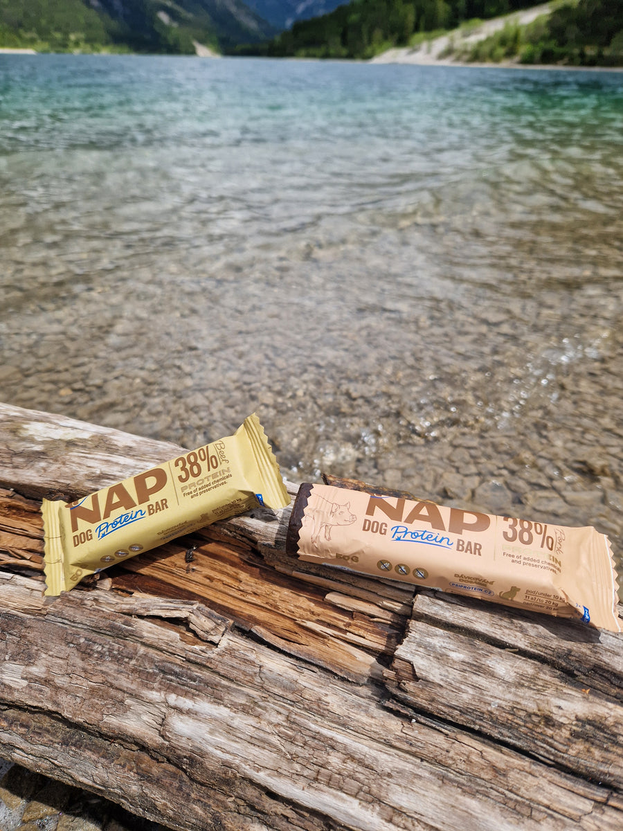 NAP Proteinriegel für Hunde | Gesunder Snack | Viele Sorten