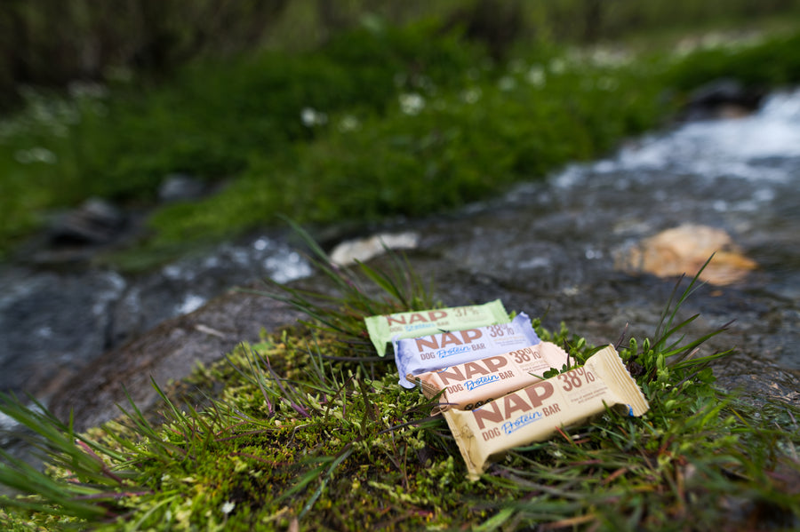 NAP Proteinriegel für Hunde | Gesunder Snack | Viele Sorten