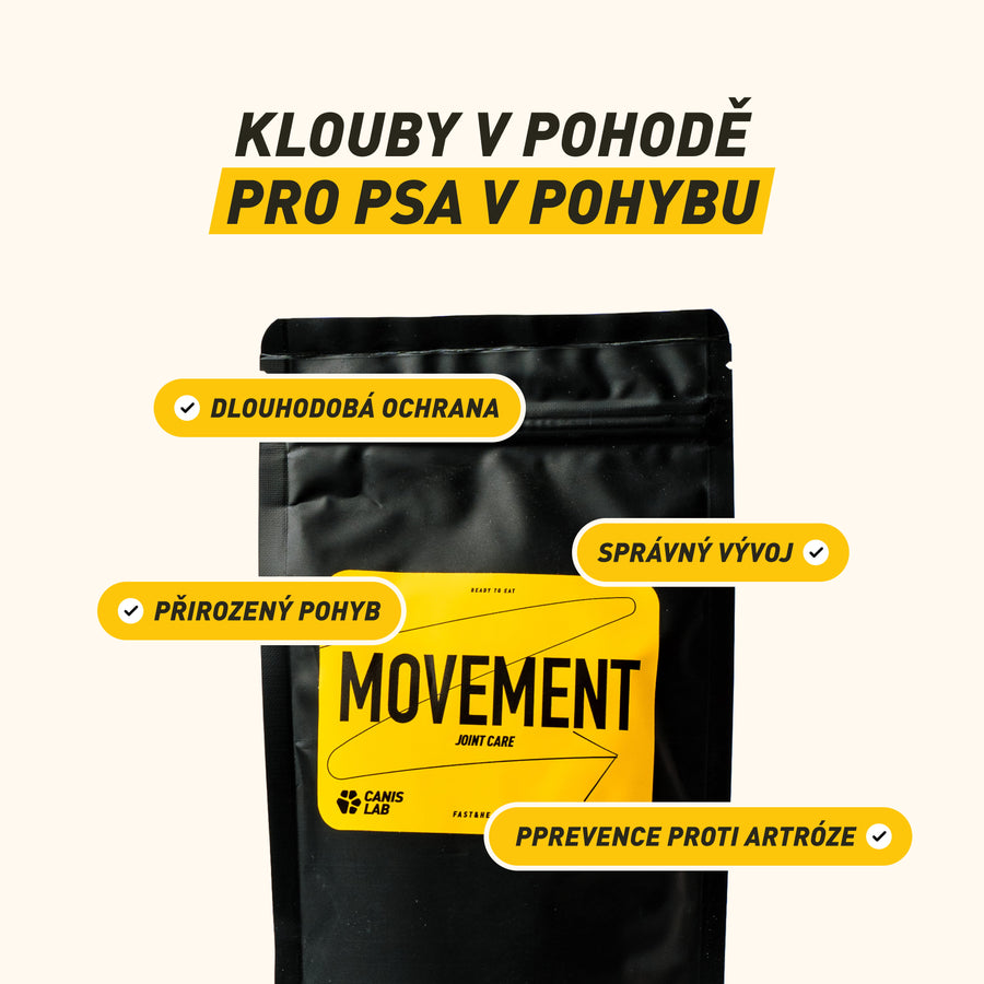 Movement | Intensive Ernährung für die Gelenke und Bewegung des Hundes