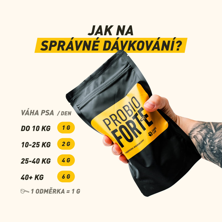 Probio Forte | Každodenní péče s ultra stabilními probiotiky a beta-glukanem pro silnou imunitu a pevný bobek