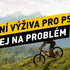 Kloubní výživa pro psy: Nečekej na první problém