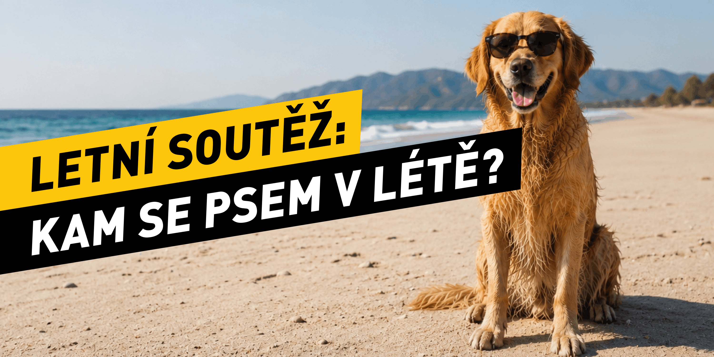Letní soutěž: Kam se psem v létě k vodě a do stínu?