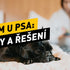 Průjem u psa – nejčastější příčiny a jejich řešení