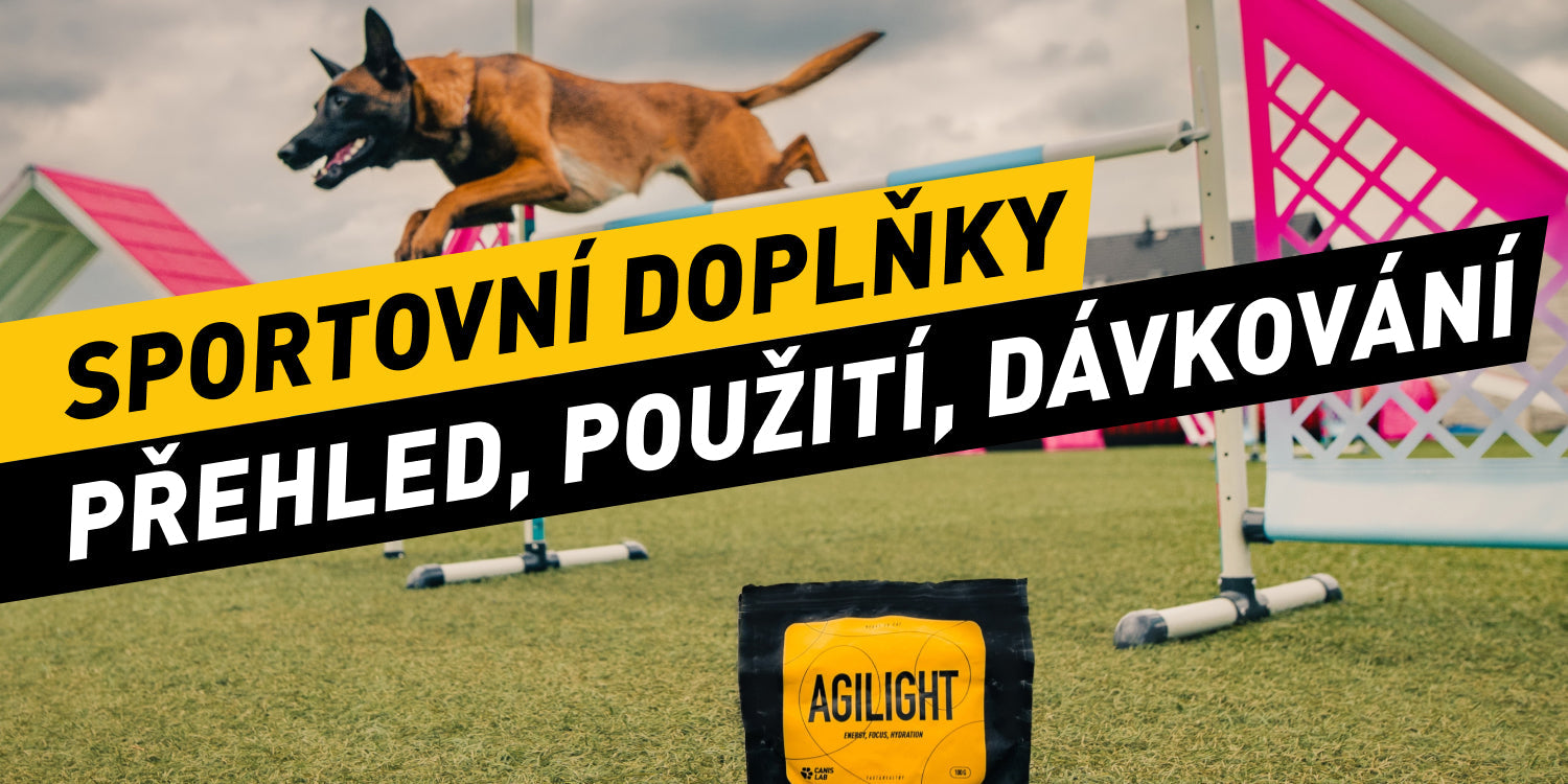 Sportovní doplňky pro psy: přehled, použití a dávkování
