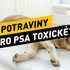 Které potraviny jsou pro psa toxické?