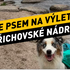 K Bedřichovské nádrži: Jizerská oáza klidu, panoramat a plavání pro aktivní psíky