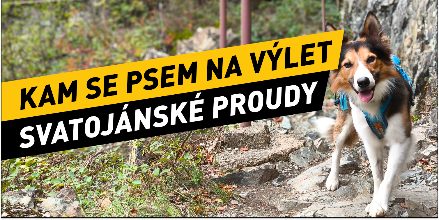 Kam se psem na výlet v okolí Prahy