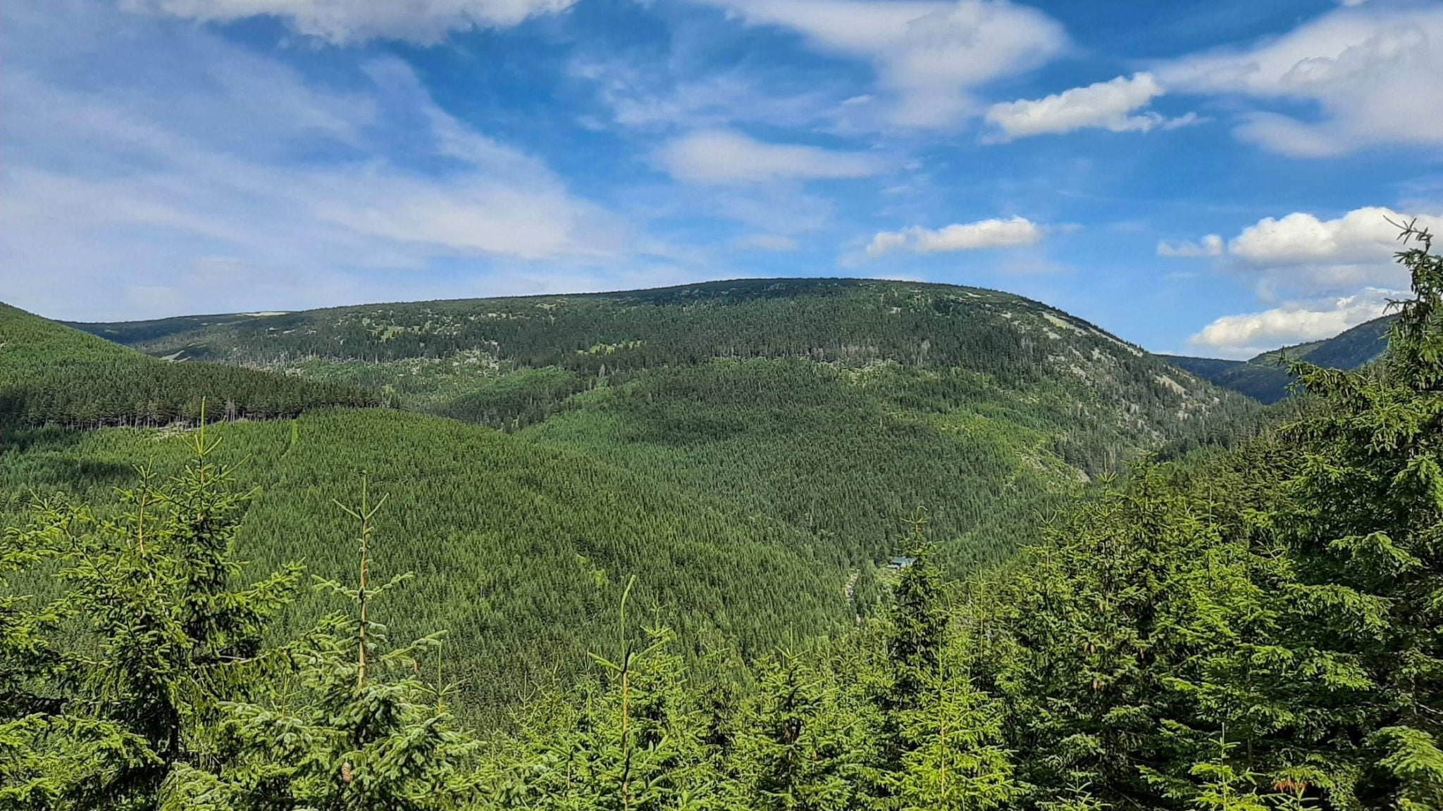 Ausflugsziele mit Hund: Riesengebirge – Spindl – Buda Bílé Labe (13 km)