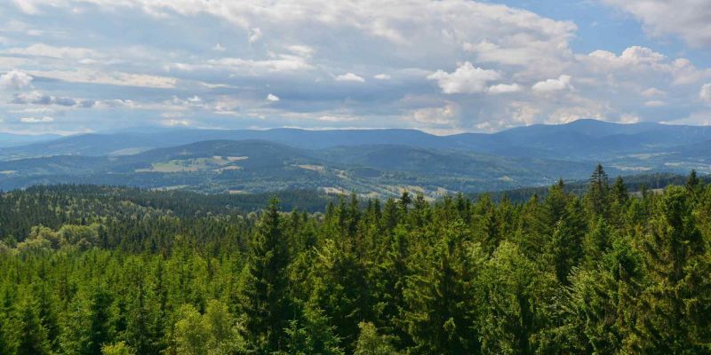 Ausflugsziel mit Hund: Rychlebské hory (85 km)