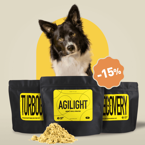 Balíček pro Agility | Výhodné balení