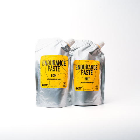 Endurance Paste | Endlose Energie für Hunde