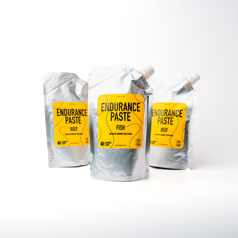 Endurance Paste | Endlose Energie für Hunde
