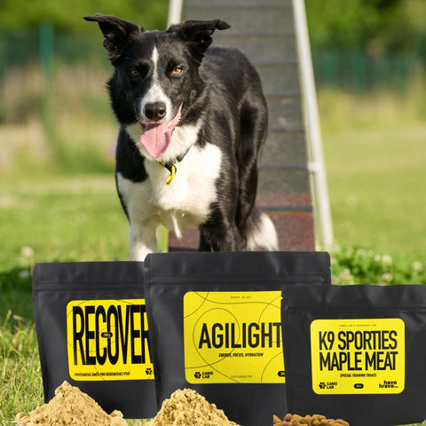 Agility starter pack
