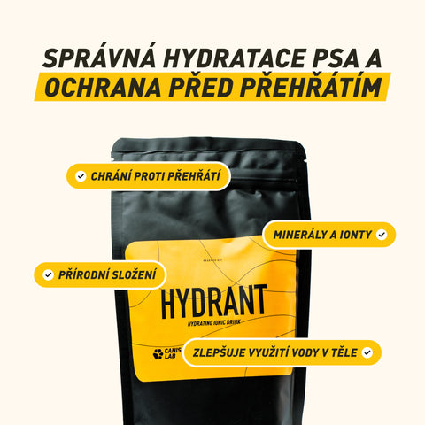 Hydrant | Feuchtigkeitsspendendes ionisches Getränk für Hunde | 200 g