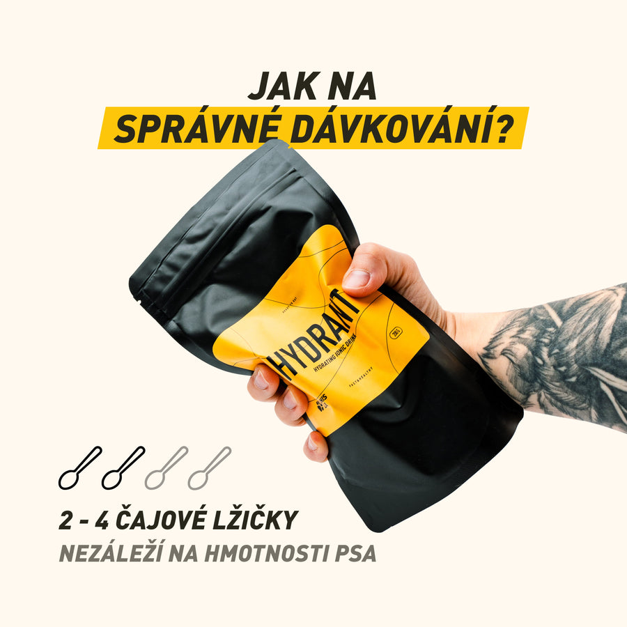 Hydrant | Feuchtigkeitsspendendes ionisches Getränk für Hunde | 200 g