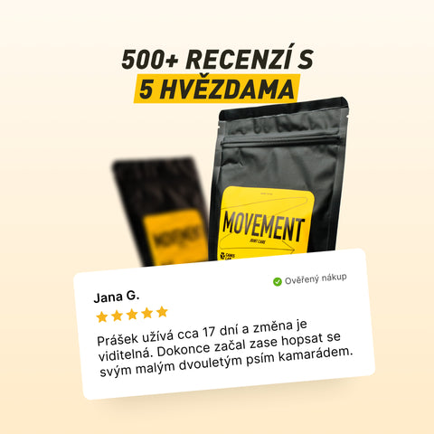 Movement | Intensive Ernährung für die Gelenke und Bewegung des Hundes