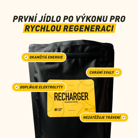 Recharger | Brei für Hunde zur Energie- und Nährstoffergänzung | 600 g