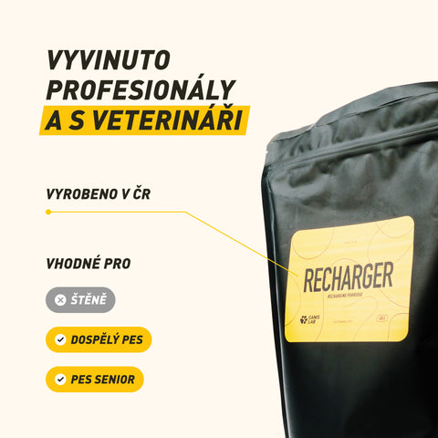 Recharger | Brei für Hunde zur Energie- und Nährstoffergänzung | 600 g