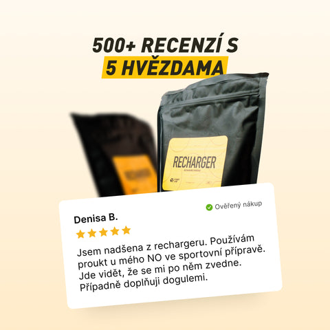 Recharger | Brei für Hunde zur Energie- und Nährstoffergänzung | 600 g