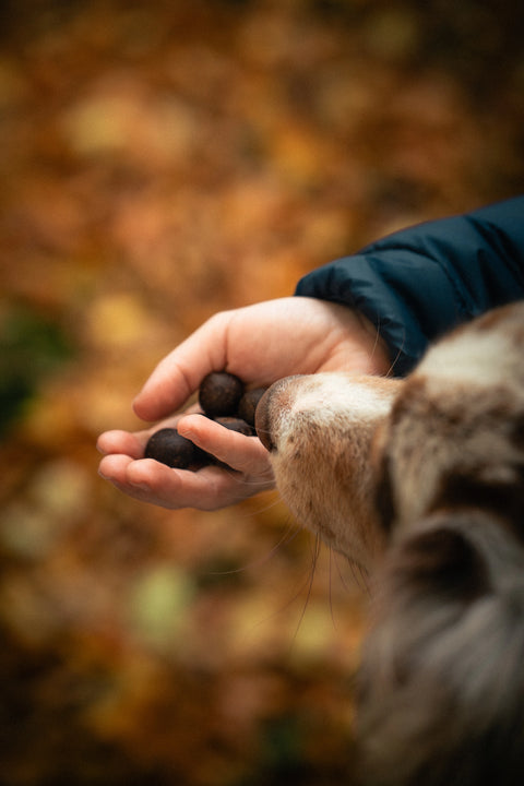 Girl holding Regule dog treats in her hand.