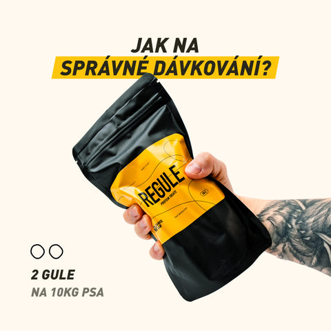 REGULE | Protein-Leckerbissen für Hunde | 200 g