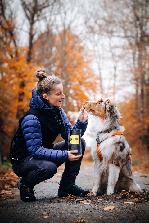 Dog owner, a girl, holding Turbogule dog treat in front of her Australian Shepherd dog
