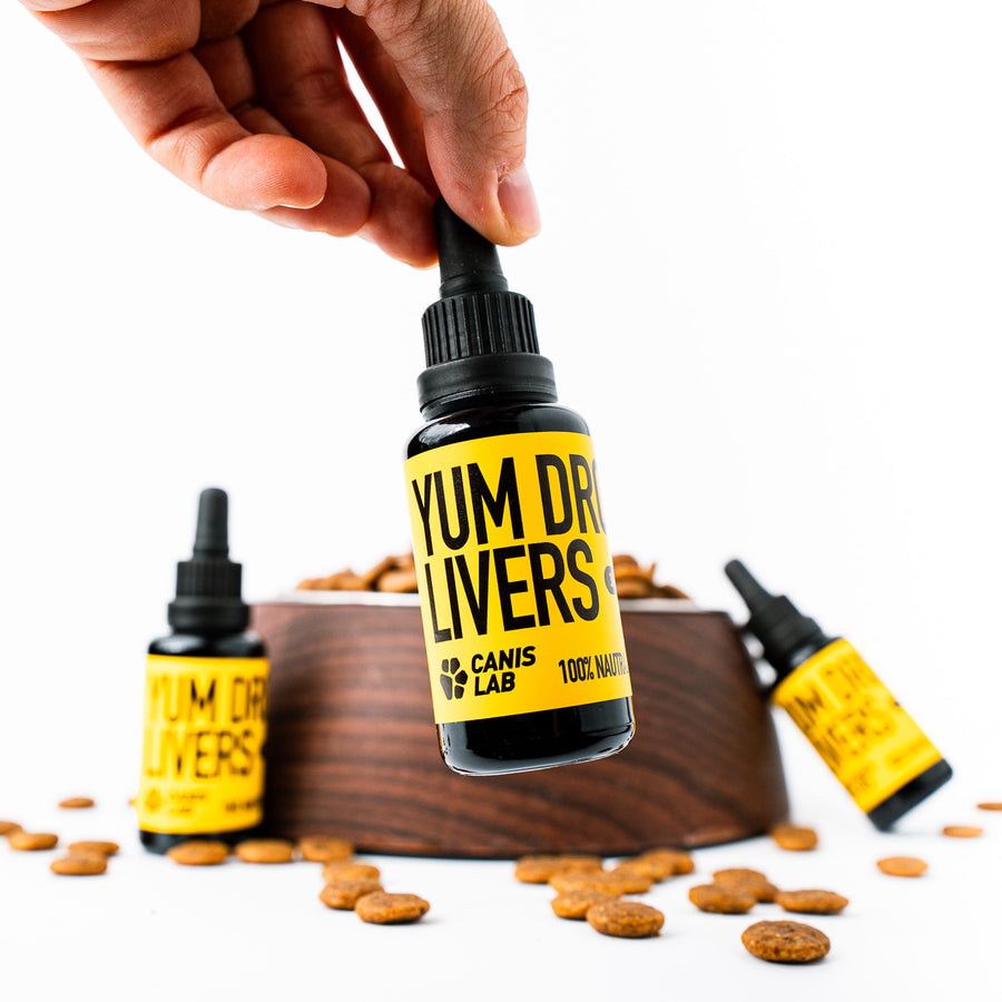 Yum Drops | Futteraroma